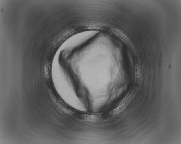 X0000086110074200704091429