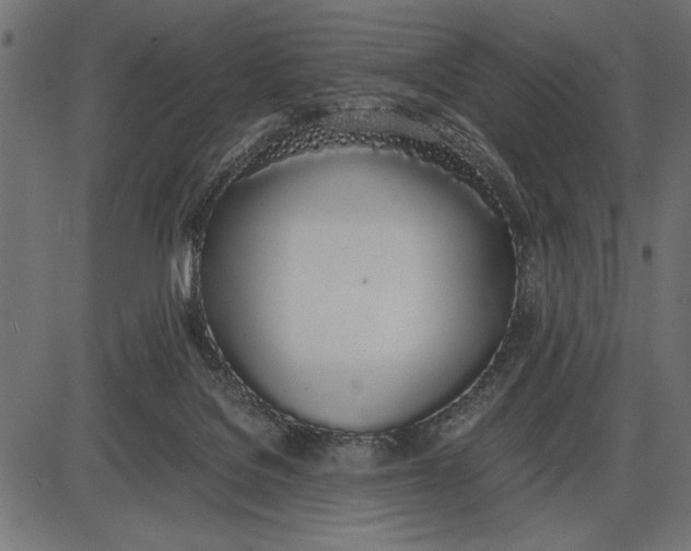 X0000086110076200704091429