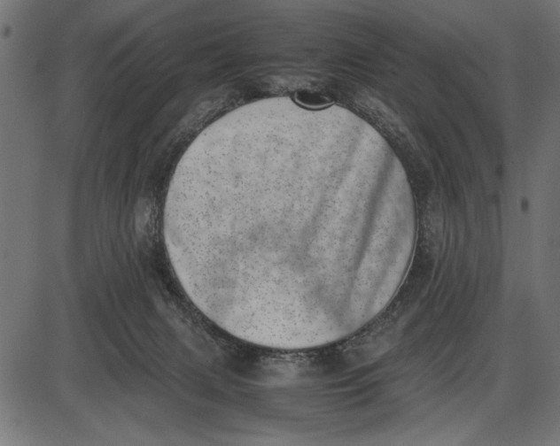 X0000086110079200704091429