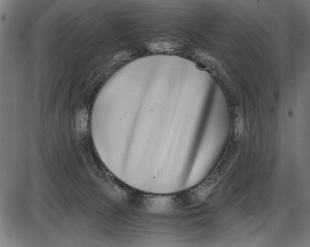 X0000086110081200704091429