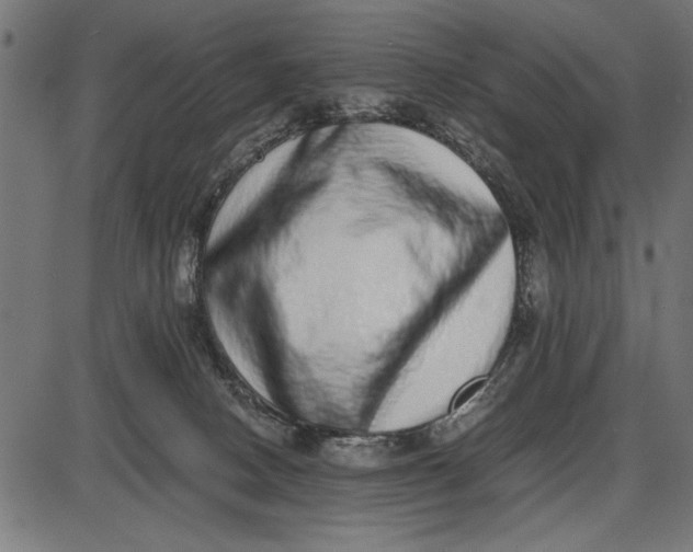 X0000086110082200704091429