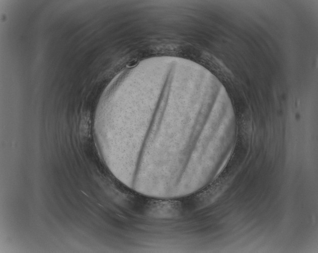 X0000086110083200704091429