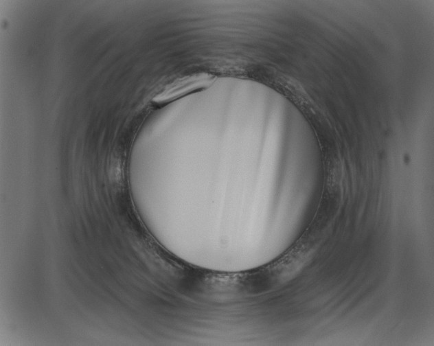 X0000086110084200704091429