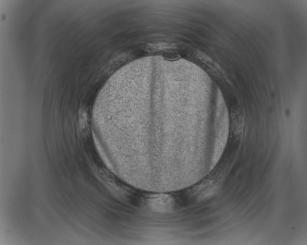 X0000086110087200704091429