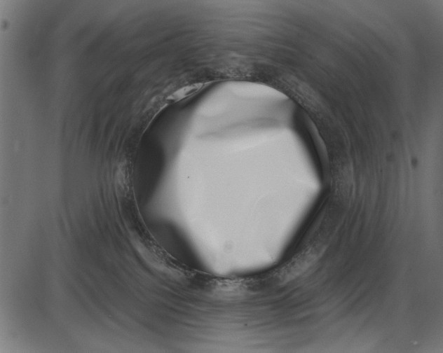 X0000086110088200704091429