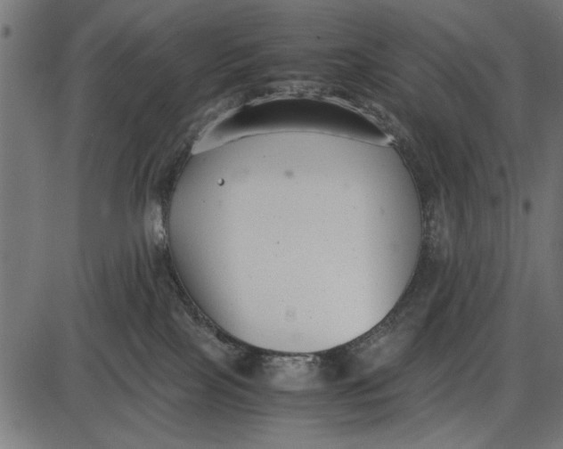 X0000086110089200704091429