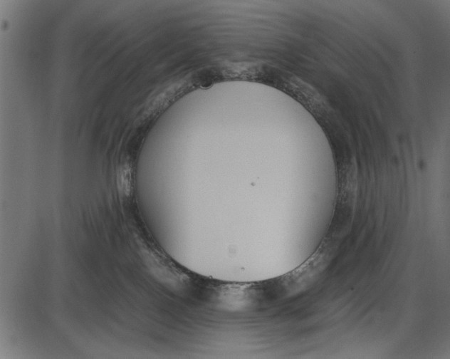 X0000086110090200704091429