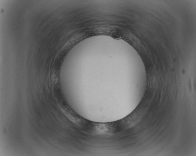 X0000086110091200704091429