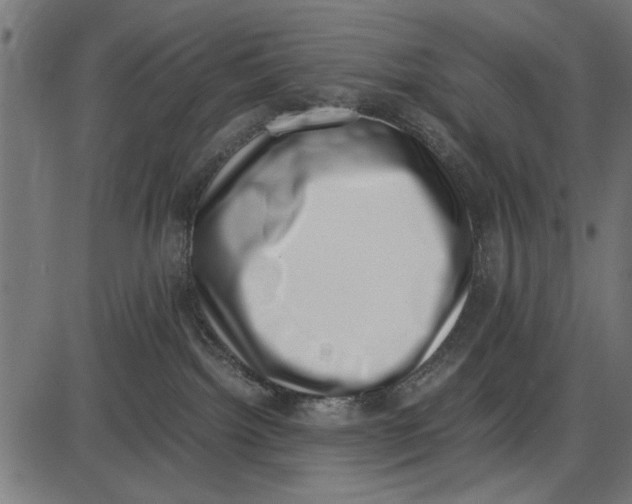 X0000086110092200704091429