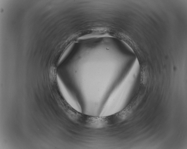 X0000086110093200704091429