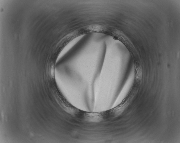 X0000086110095200704091429