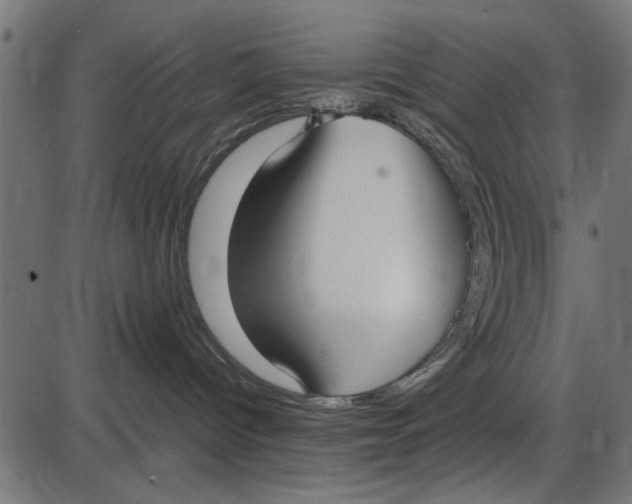 X0000086110096200704091429