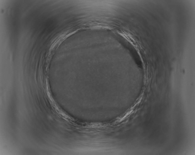 X0000086110097200704091429