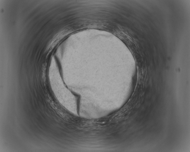 X0000086110098200704091429