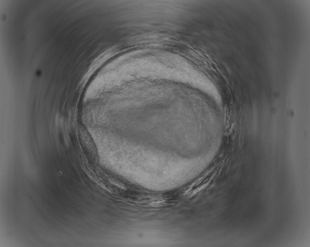 X0000086110099200704091429