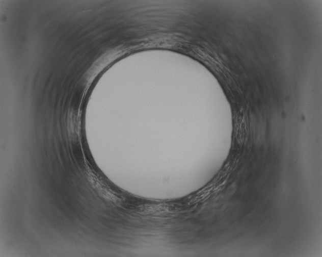 X0000086110100200704091429