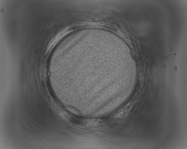 X0000086110103200704091429