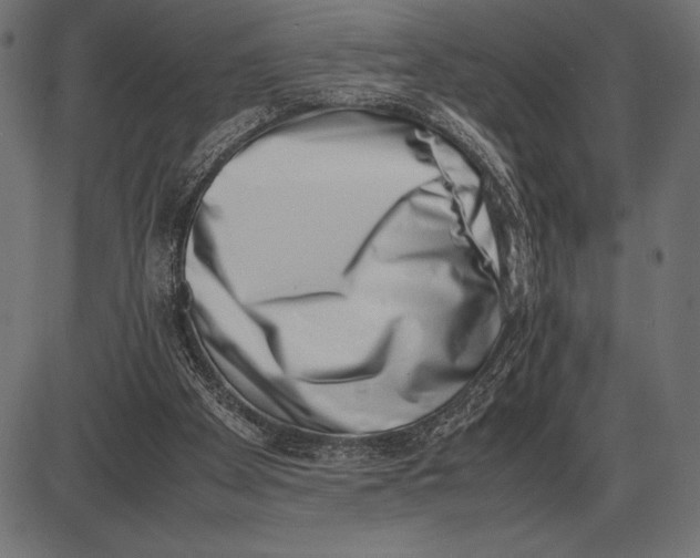 X0000086110105200704091429