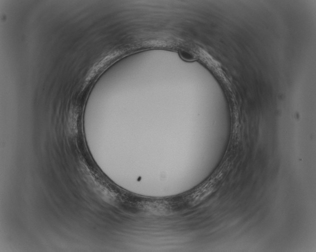 X0000086110106200704091428