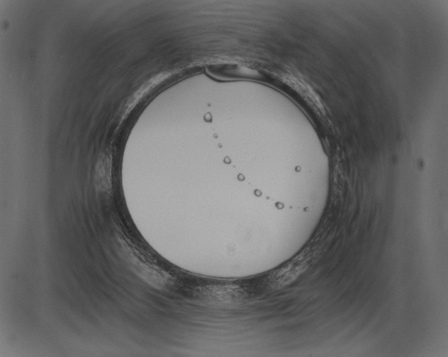 X0000086110108200704091428