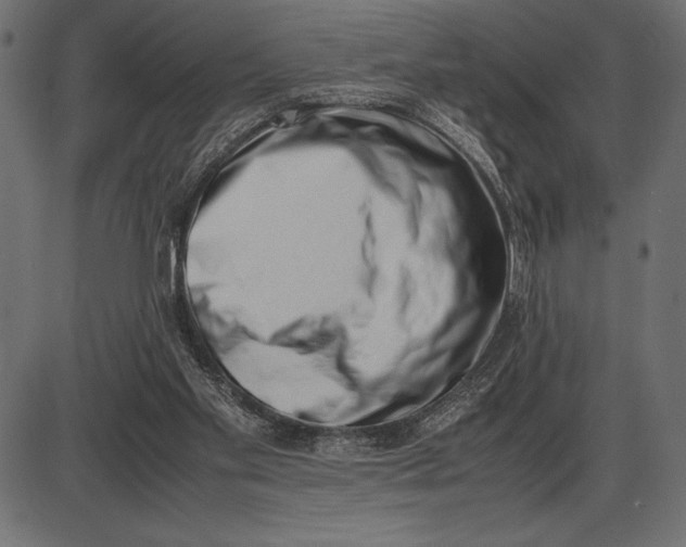 X0000086110109200704091428