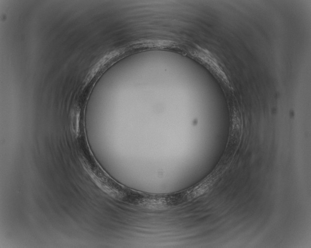 X0000086110110200704091428