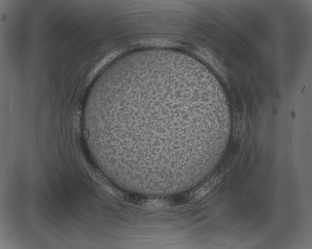 X0000086110111200704091428