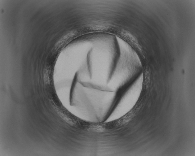 X0000086110114200704091428