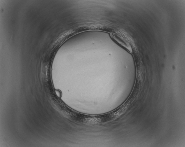 X0000086110115200704091428