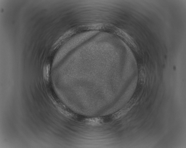 X0000086110118200704091428