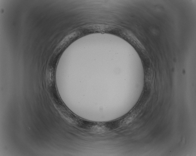 X0000086110119200704091428