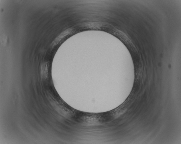 X0000086110120200704091428