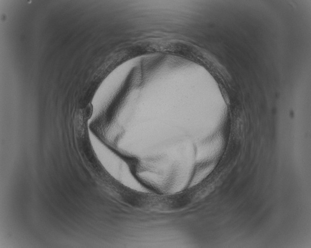 X0000086110121200704091428