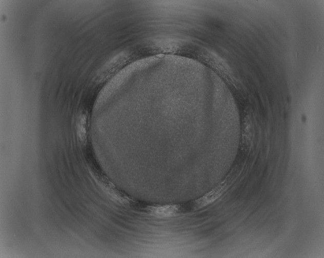 X0000086110122200704091428