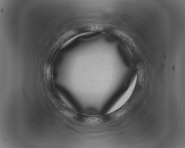 X0000086110123200704091428