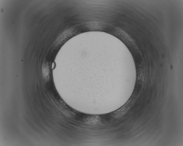 X0000086110124200704091428