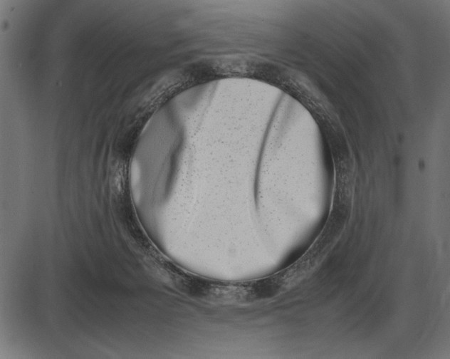 X0000086110125200704091428