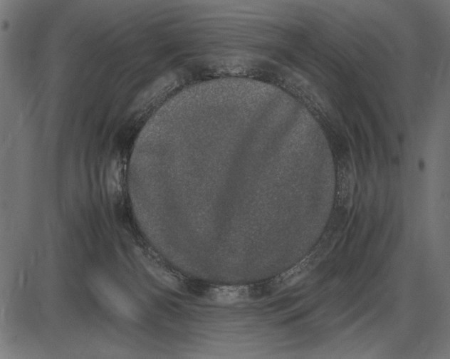 X0000086110126200704091428