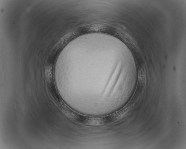 X0000086110127200704091428