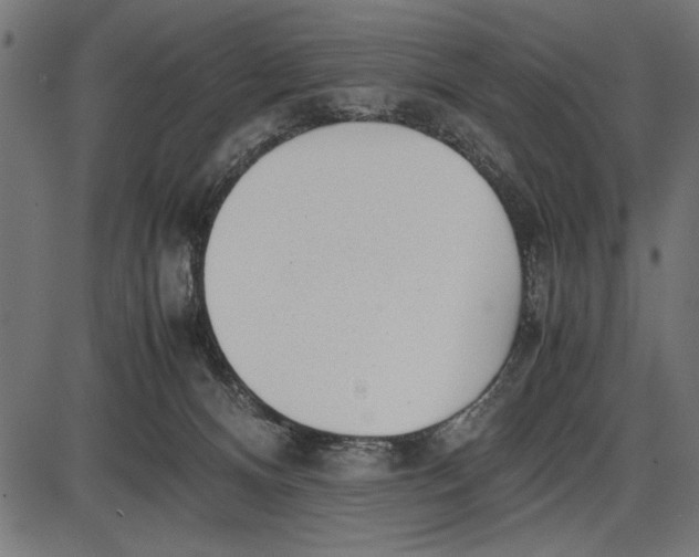 X0000086110128200704091428