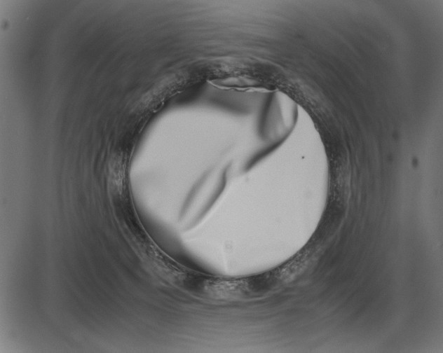 X0000086110129200704091428