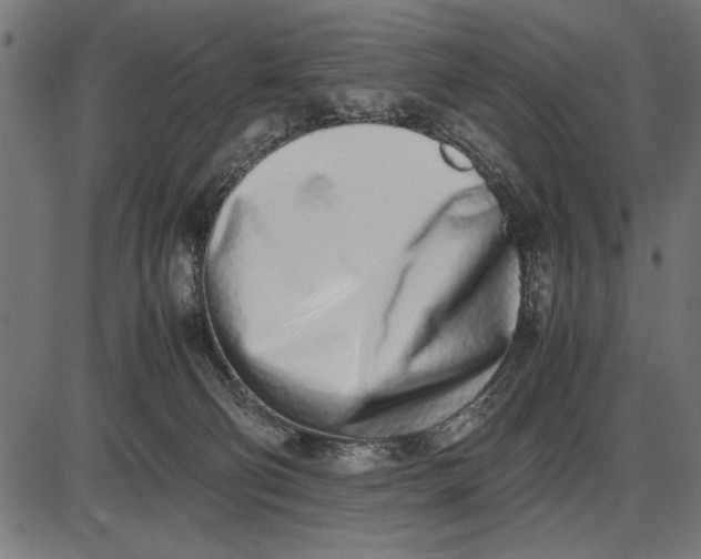 X0000086110130200704091428