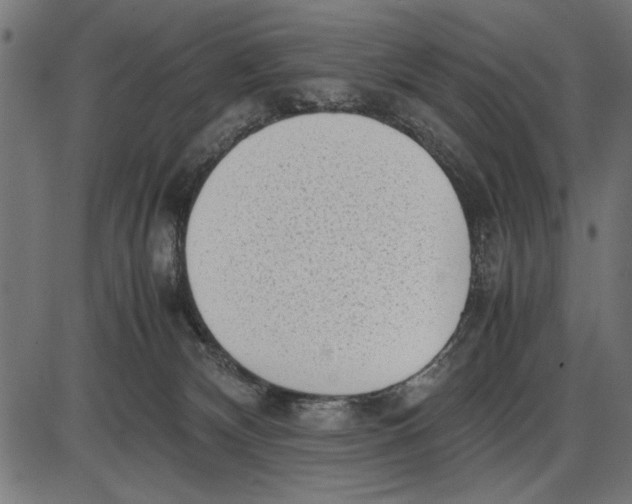 X0000086110132200704091428