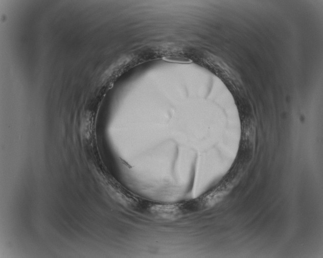 X0000086110133200704091428