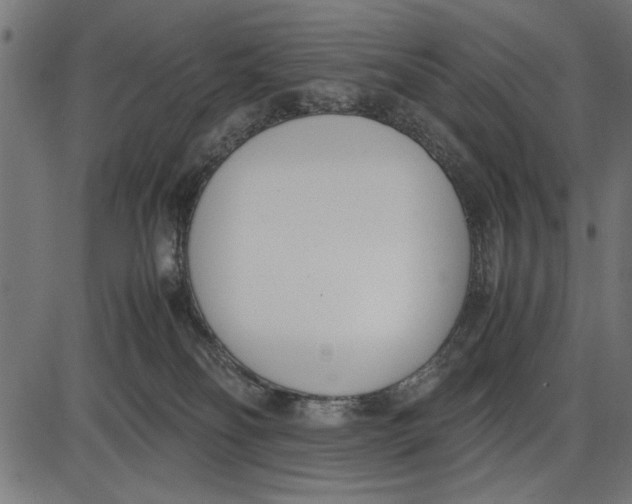 X0000086110134200704091428