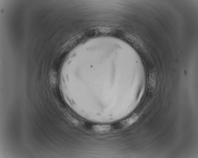 X0000086110135200704091428