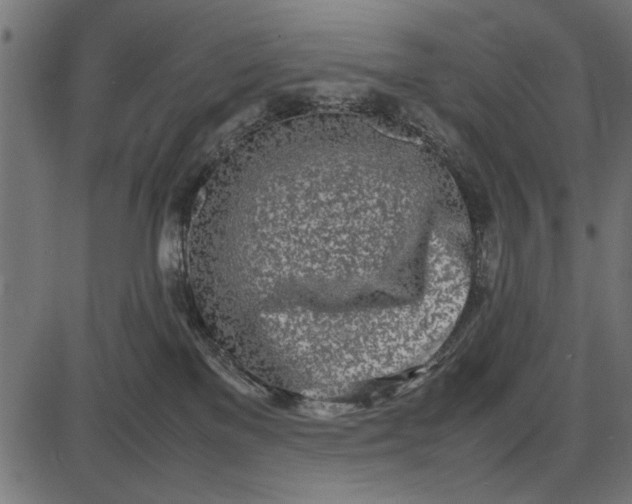 X0000086110137200704091428