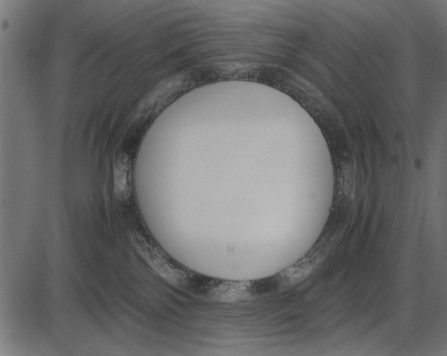 X0000086110138200704091428