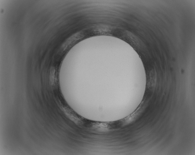 X0000086110140200704091428