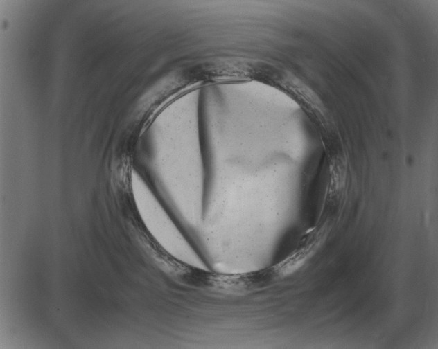 X0000086110141200704091428